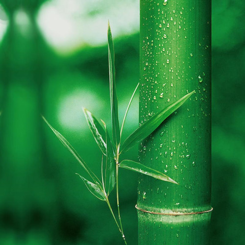 �����J�R�h��ԭ�ϡ������w�S