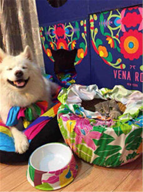 ���Ӷ��ƣ�Ψ�_�Ҽ����ص��̘Iģʽ