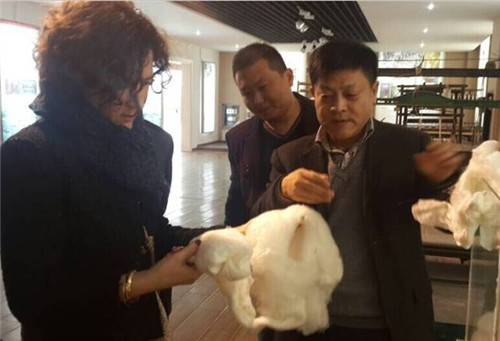 ��������̵����ýz�I��I����