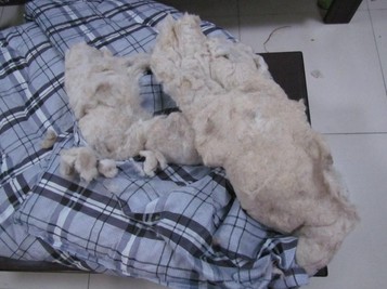 �����ˮ�����̾֓v��һ�����޼ӹ��S