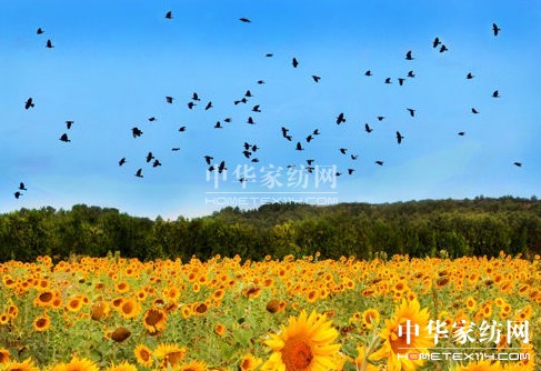 ����һ��ȥ���_��˹���s����