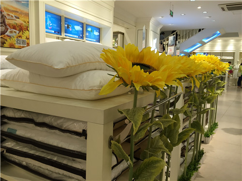 �Pʢ�Ҽ�2015���ﶬ��Ʒ�l���������_