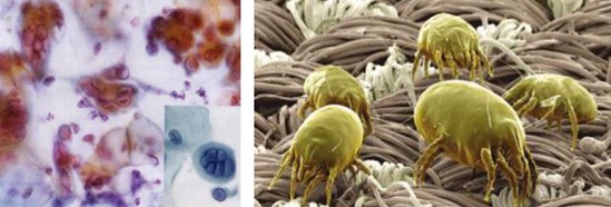 ���_�m�Ҽ�������˯�ߣ�����˯��������