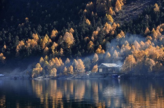 紫羅蘭生機(jī)家紡,還原巴馬原生態(tài)平衡環(huán)境
