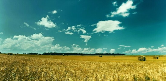 紫羅蘭家紡:森呼吸,凈睡眠—被窩里的小森林