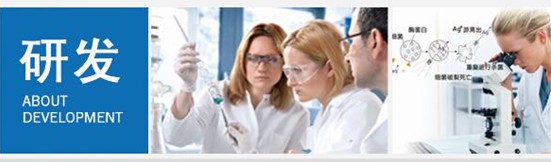 �ܽ^���f���x�����x���_�m���C�Ҽ�