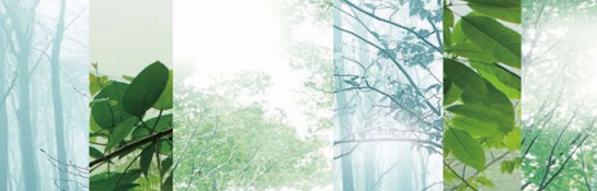 ���_�m���C�Ҽ����ڰ��Rԭ���B(t��i)ɽ�Ⱥ�ˮ�g-��һ���p��