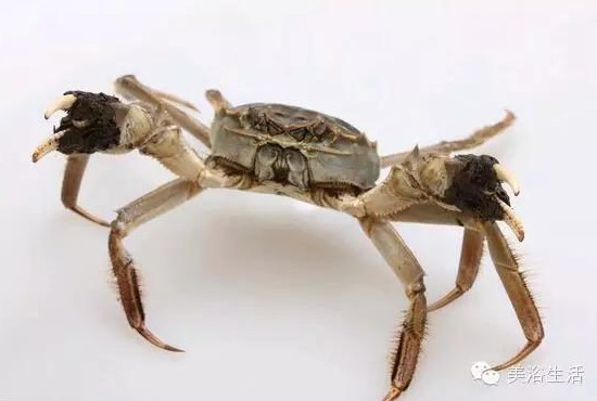 ��ԡ����Â���Ĵ��lз��з�S��ʳ��зȯ���ۣ�з��������ë����