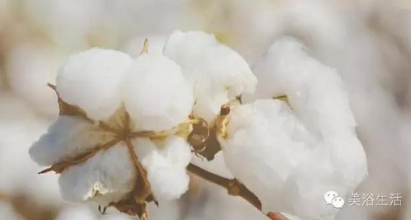 ��ԡ���Փһ�lë�����������B��