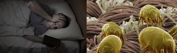 ���z�R�ƣ��_�����B(t��i)���ܼҾ�4.0�r��