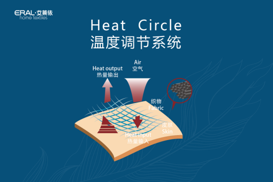 ���R���Ҽ��l������q˯��ϵ�y�����콡��˯���˜�