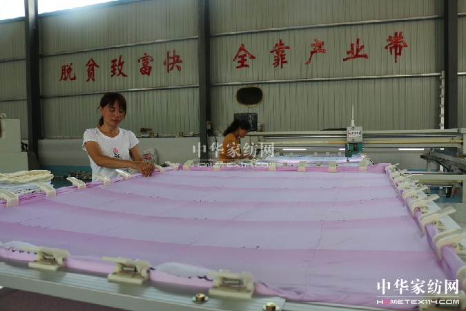 山東省陽信縣:脫貧致富快全靠產業帶