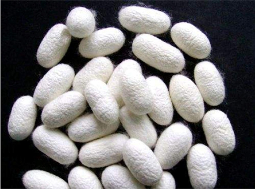 ͬ���ǽz�����W�_���{ʲô���f�������R�ˣ�