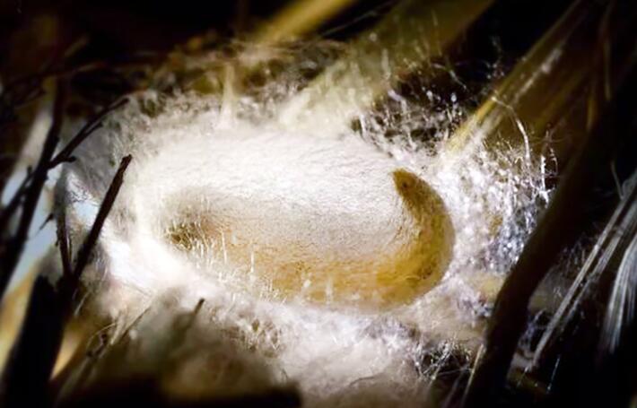 Ϧ�̽z�I�W��֮�Q�z��������