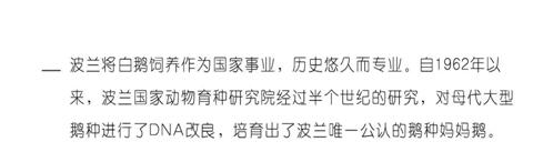 博洋家紡波蘭媽媽絨,致敬輕奢生活!