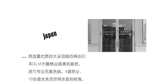 博洋家紡波蘭媽媽絨,致敬輕奢生活!