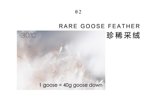 博洋家紡波蘭媽媽絨,致敬輕奢生活!