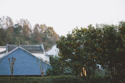 BEYONDSEVENSTAR×VISPRING攜手打造“織眠空間”