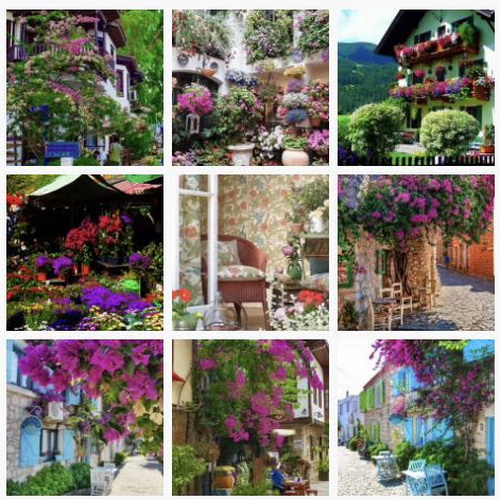 С�[�T��������D(zhu��n)����Ȧ�����cҪ�󲻿��٣�������ƽ