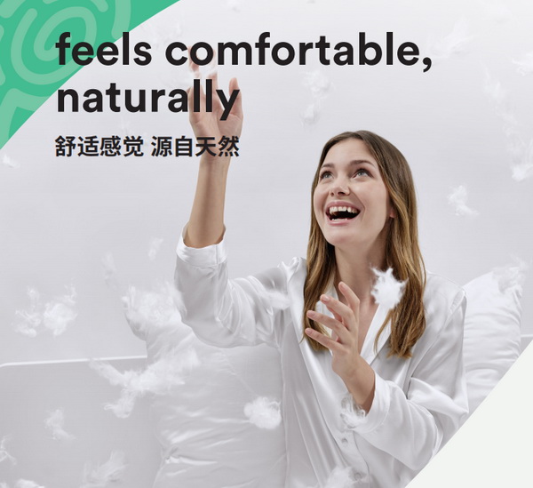 �ļ�����z™Ʒ���Rِ������w�S�ɞ錦����⣬���o˯�ߵ�����