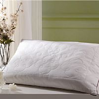 ���x-ľ����ë�ļ���-1