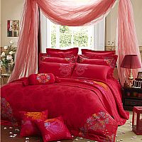 ���ҼҼ�JX135-4 9ϲ���aƷ�DƬչʾ