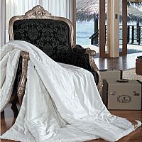 ����ɣ�Q�z��