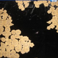 ���N��ӡ��z�������q