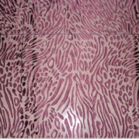 ��z�����N