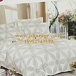 �e�^���α���