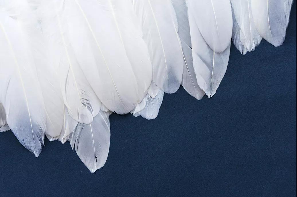 ����Ʒ�Z�q�����˜ʳ��_���쿴�����I�ı����_���˛]��