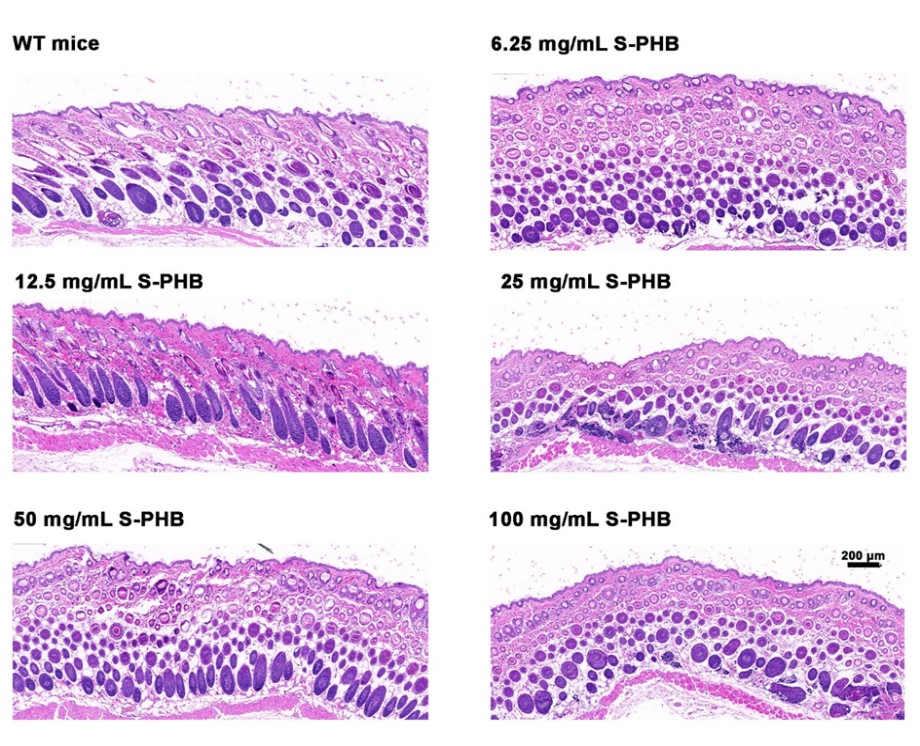 ������V�V��������Ʒ���о����lչڅ��